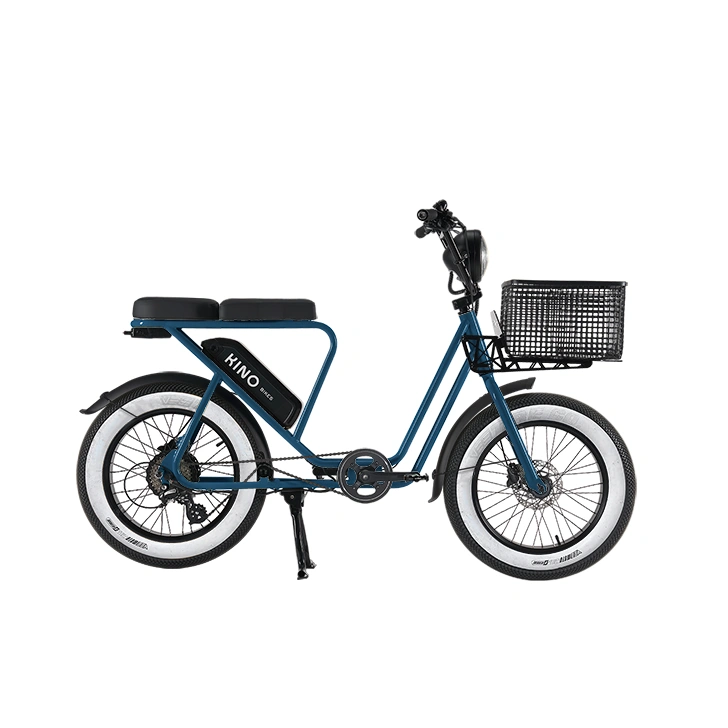 Vélo Électrique avec Porte Bagage